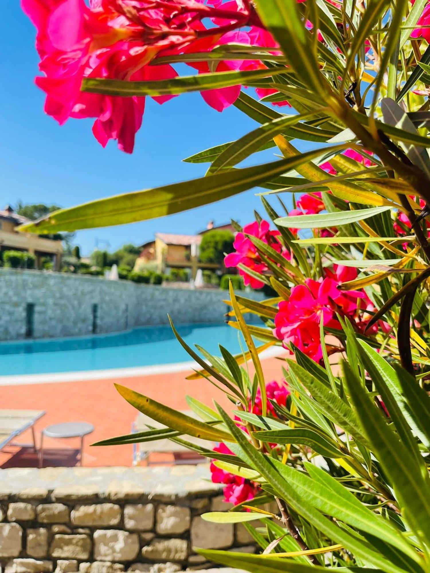 Borgo Del Torchio - Gardagate Apartamento Manerba del Garda Exterior foto